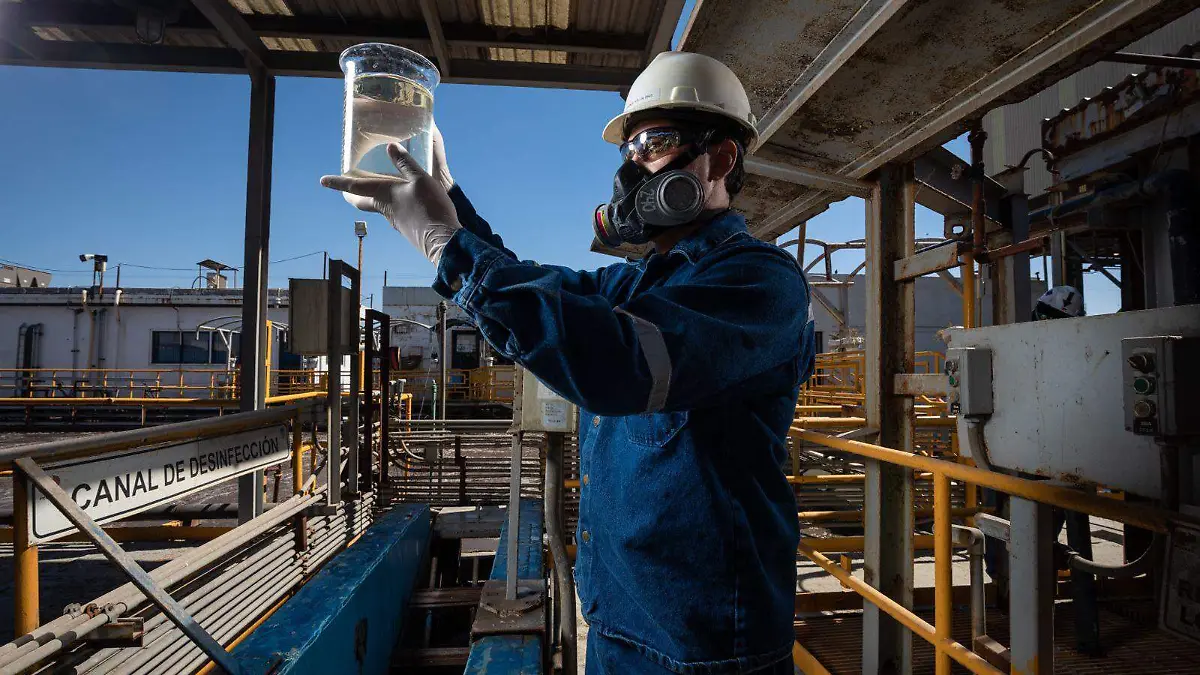 WhatsApp Image 2024-06-05 at 09.04.28 (1)