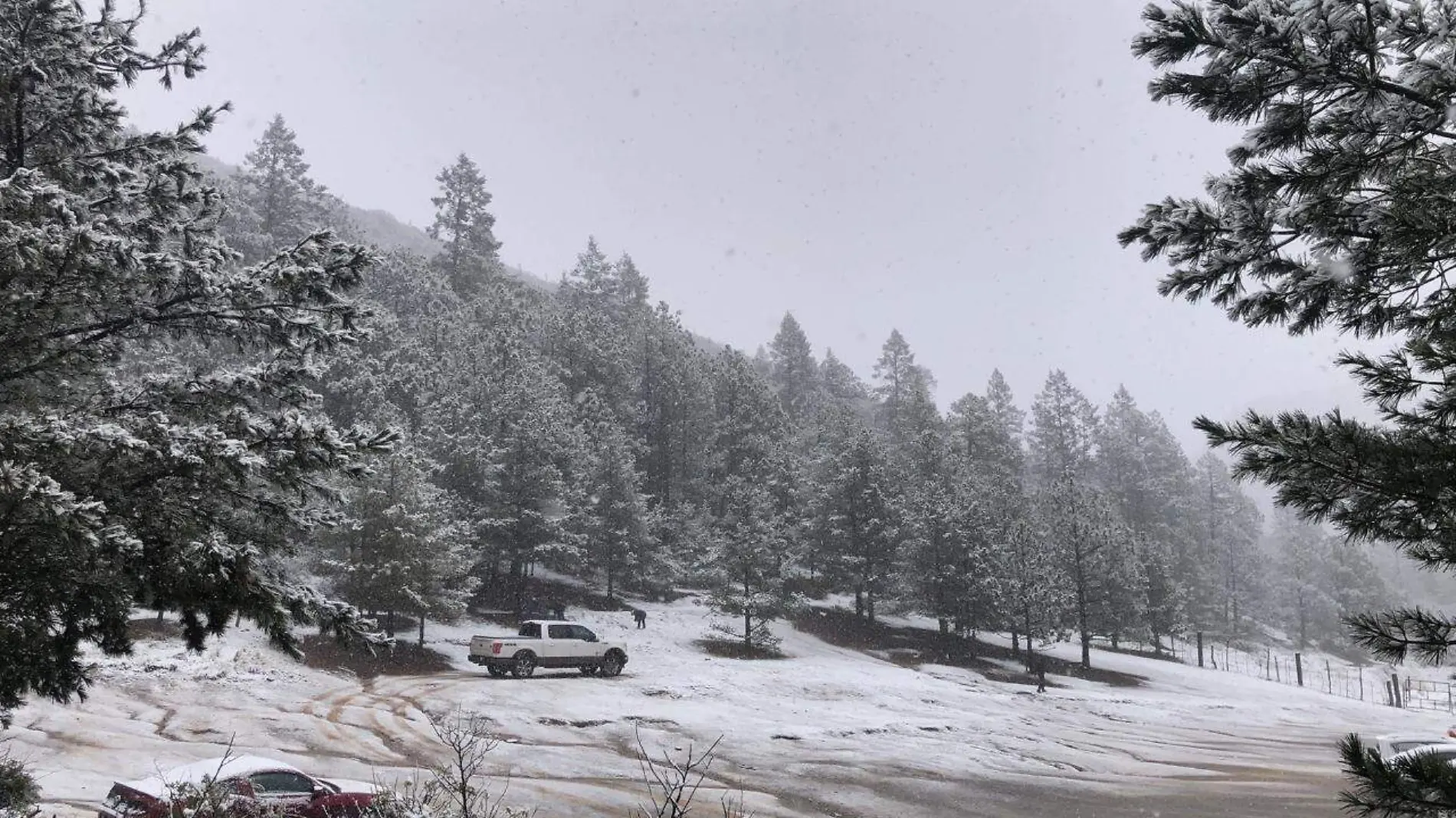 El cañón de Los Oyameles se pintó de blanco, luego de que se registrara nieve y aguanieve