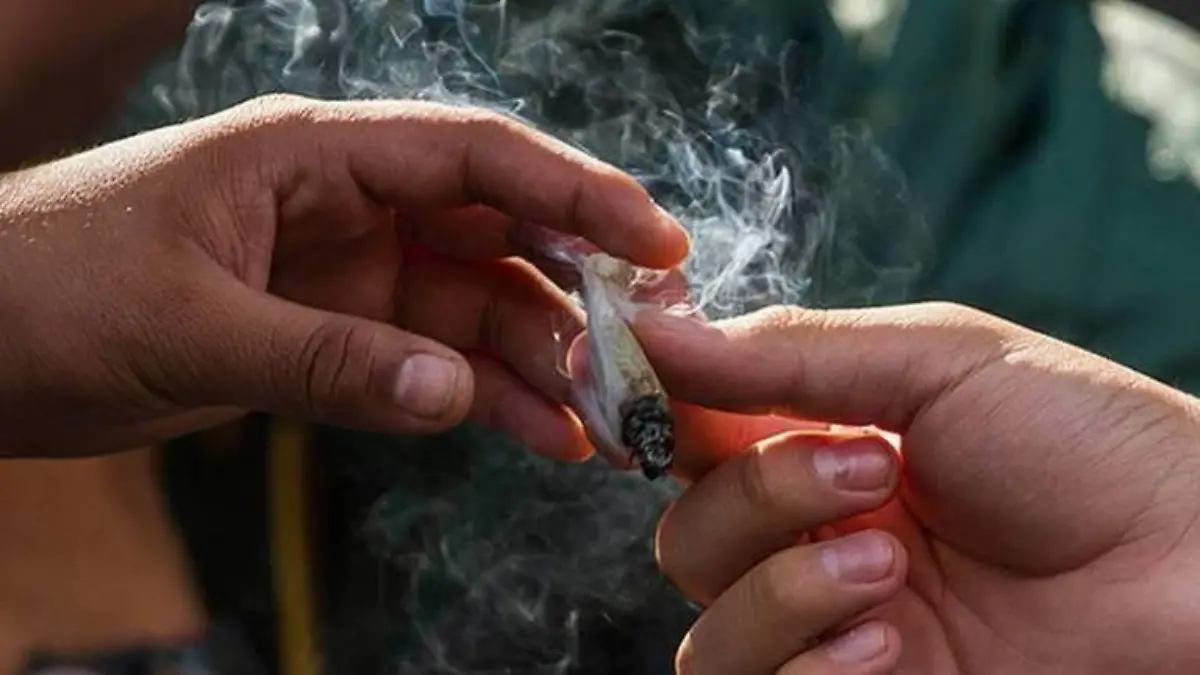 marihuana-y-cristal-son-las-drogas-más-consumidas-en-La-Laguna