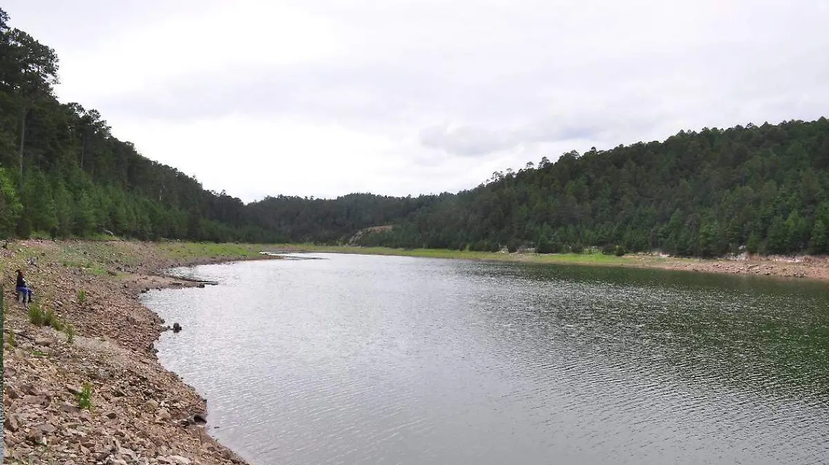 16181bb6-cd2d-478b-9ebc-fa52134cd5aa