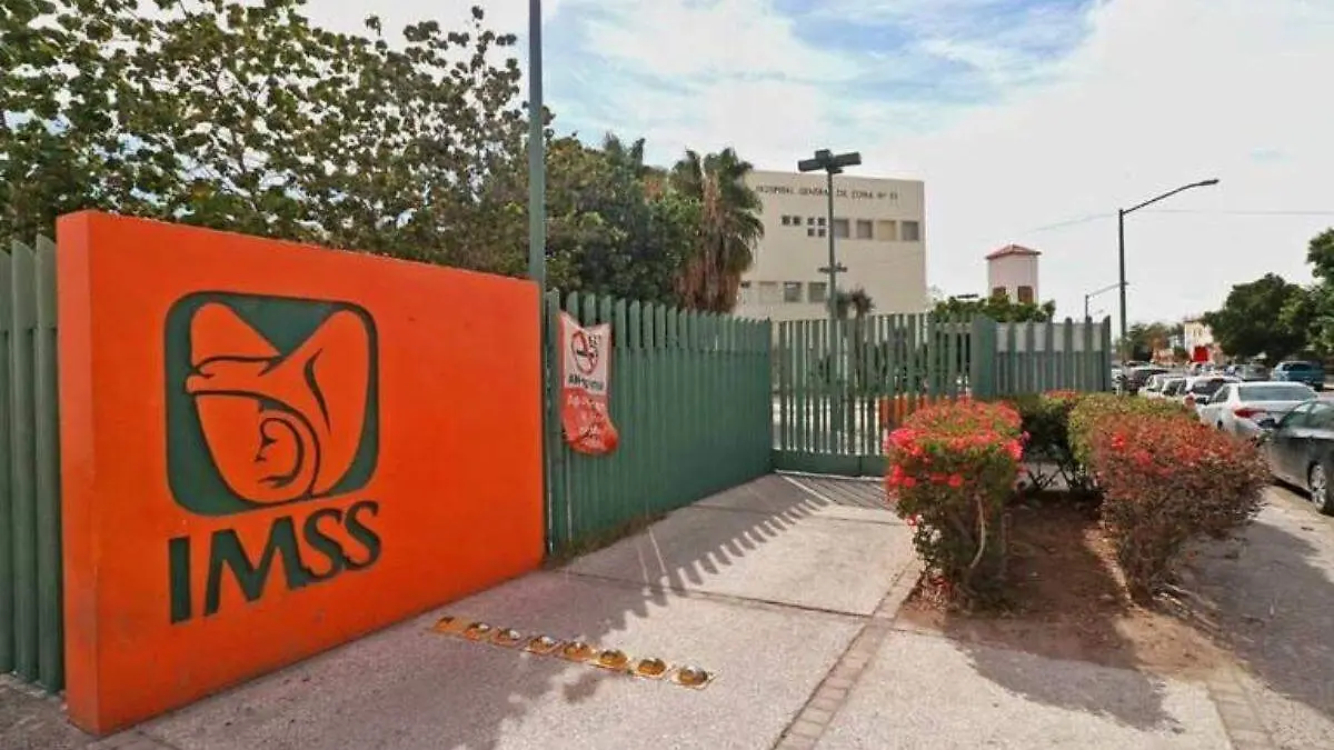 IMSS (2)