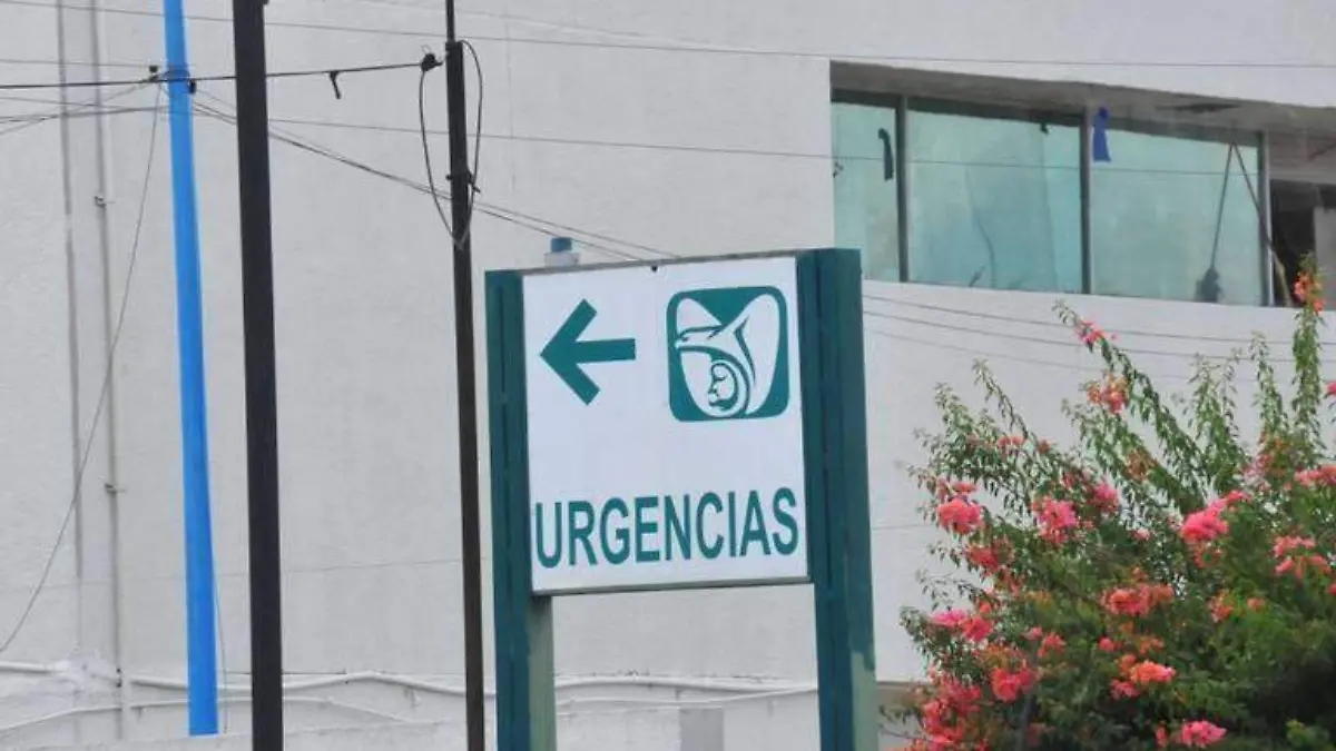 WhatsApp Image 2024-10-22 at 15.10.14