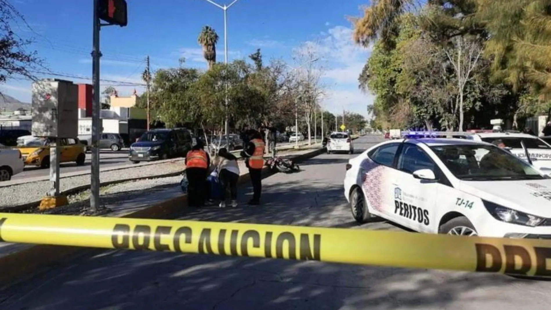 accidente-vial-bosque