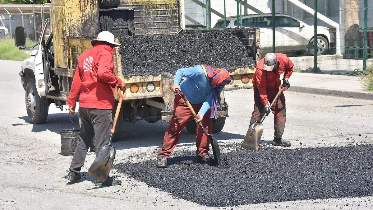 WhatsApp Image 2024-08-06 at 13.39.11 (1)