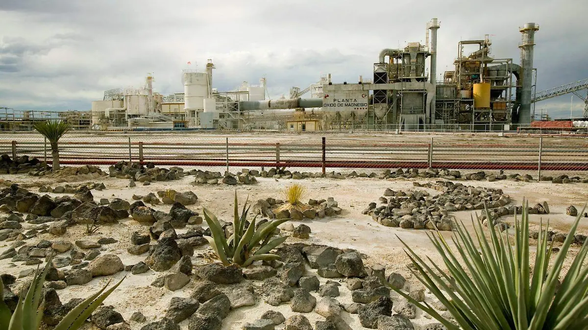 El SARI permite administrar las operaciones de las plantas químicas de Peñoles