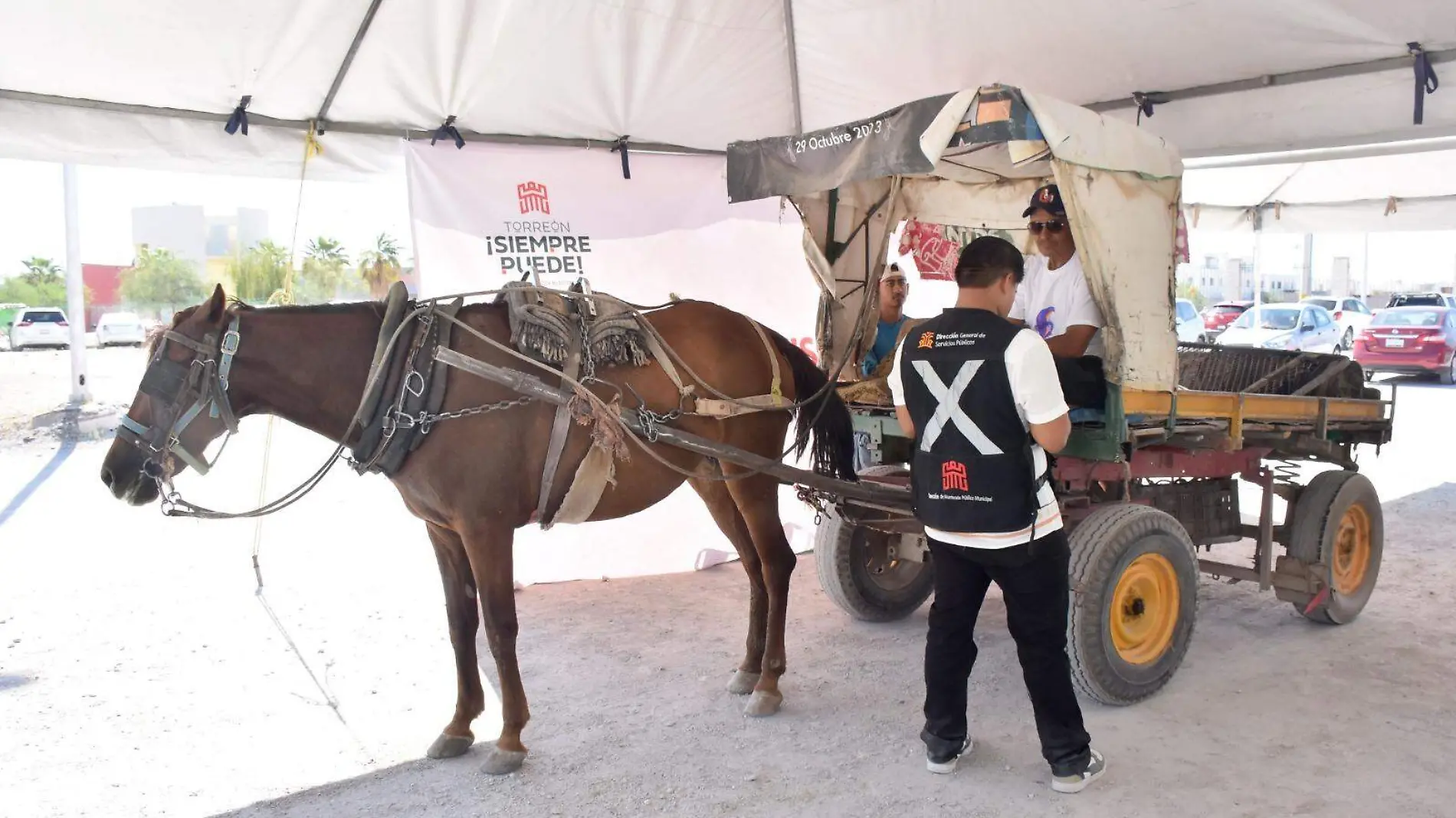 carromateros