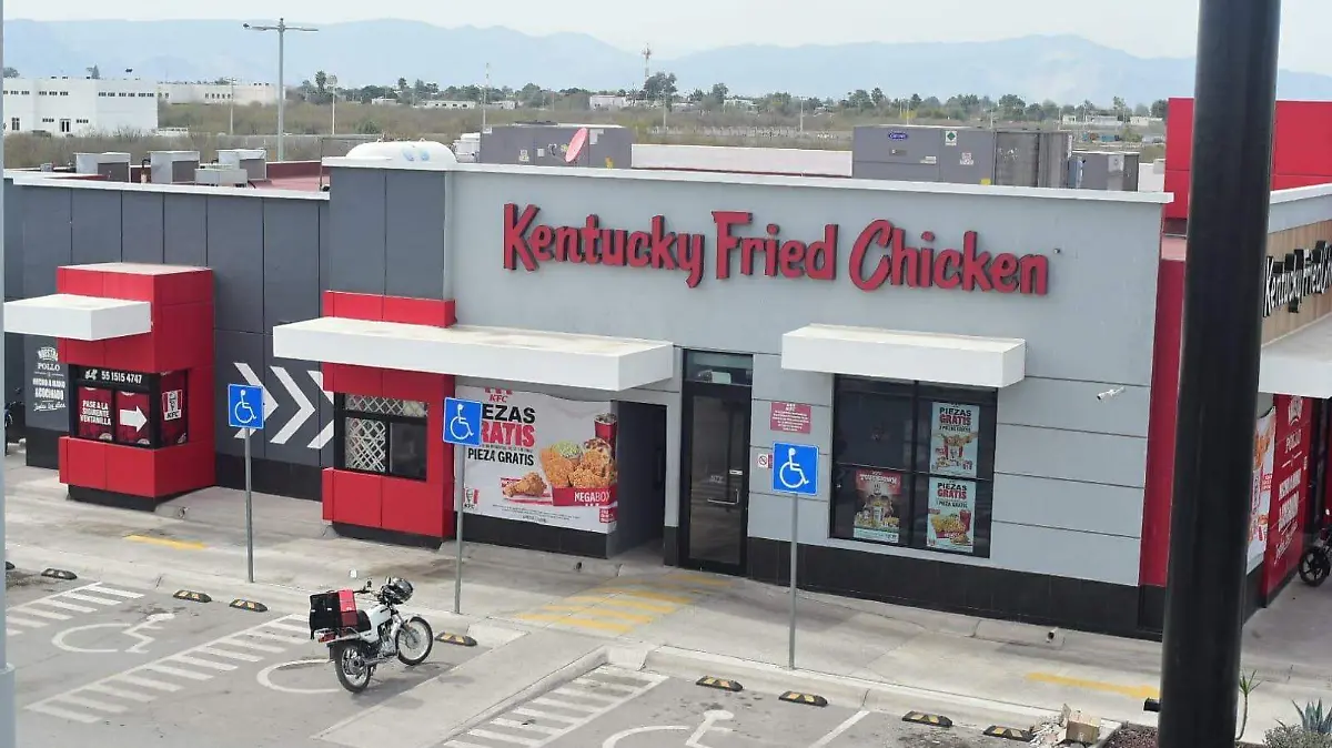 WhatsApp Image 2024-01-31 at 13.21.40