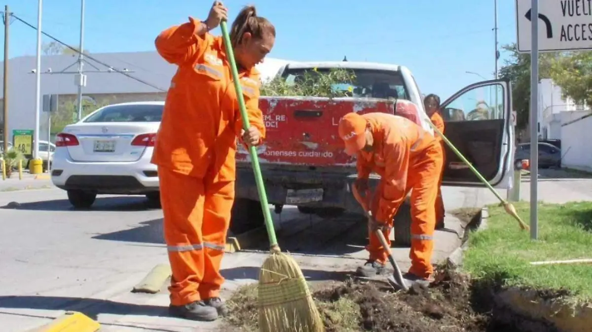 WhatsApp Image 2024-07-03 at 16.16.59