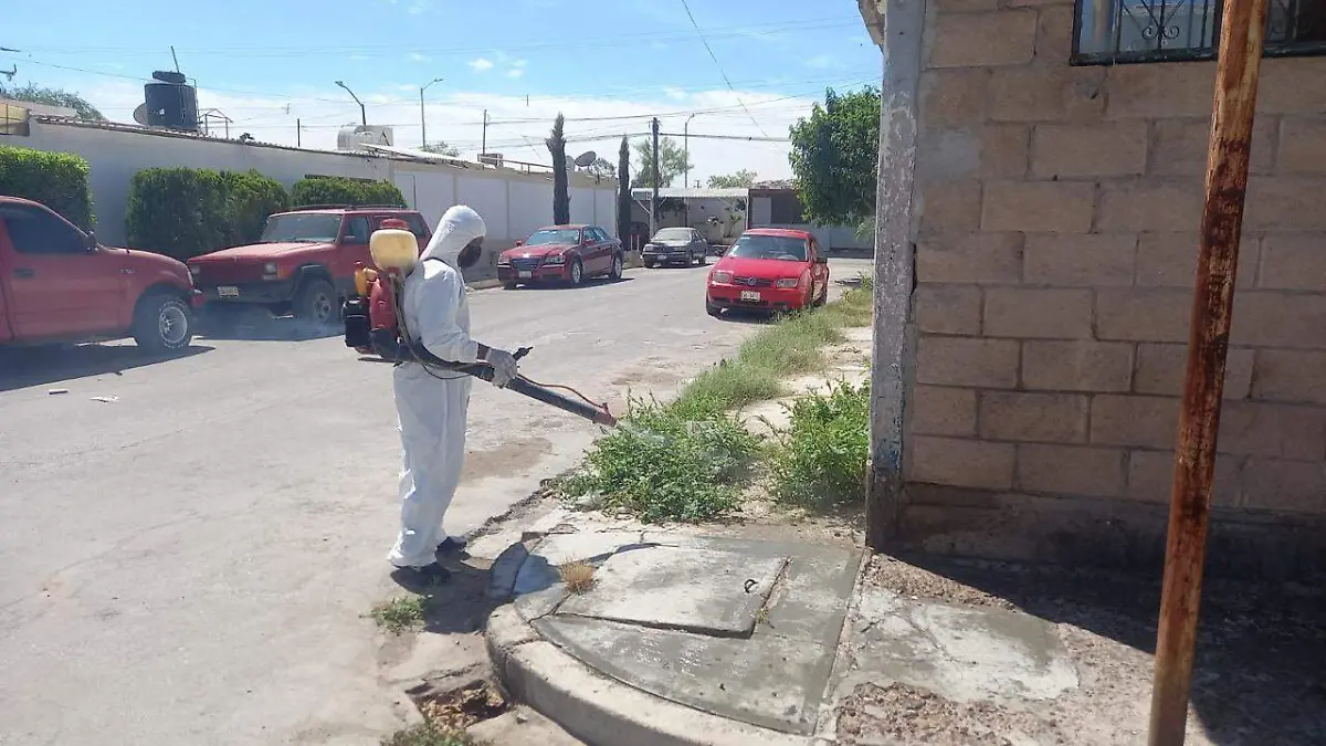Con trabajos de fumigación y otras acciones complementarias se busca evitar la proliferación de mosquitos, garrapatas y roedores