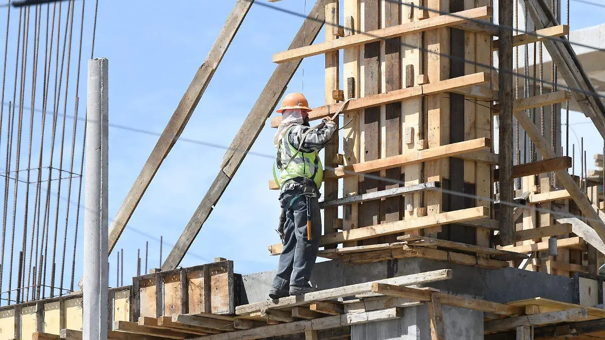 WhatsApp Image 2024-09-28 at 13.20.42