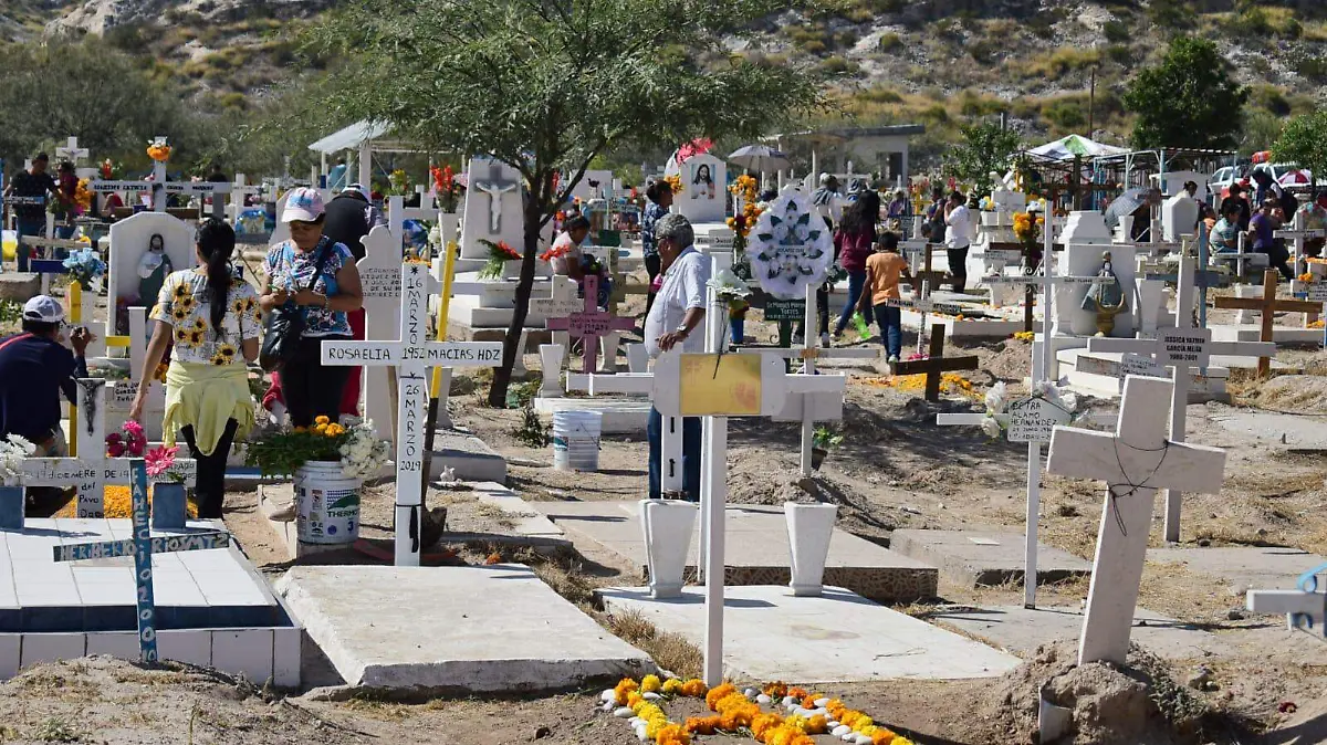 WhatsApp Image 2024-06-28 at 10.09.54 (2)