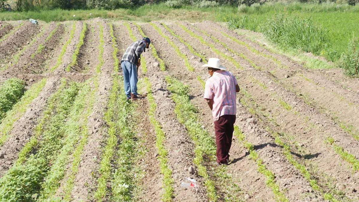 Desarrollo-Rural