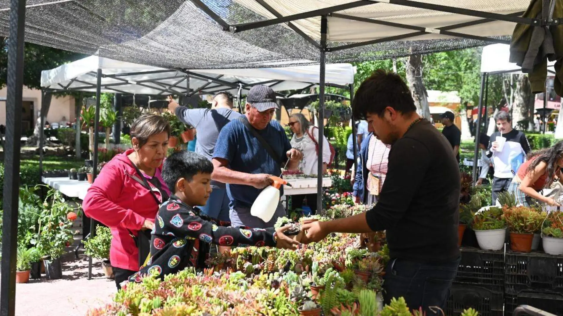 expo-cactus-Lerdo