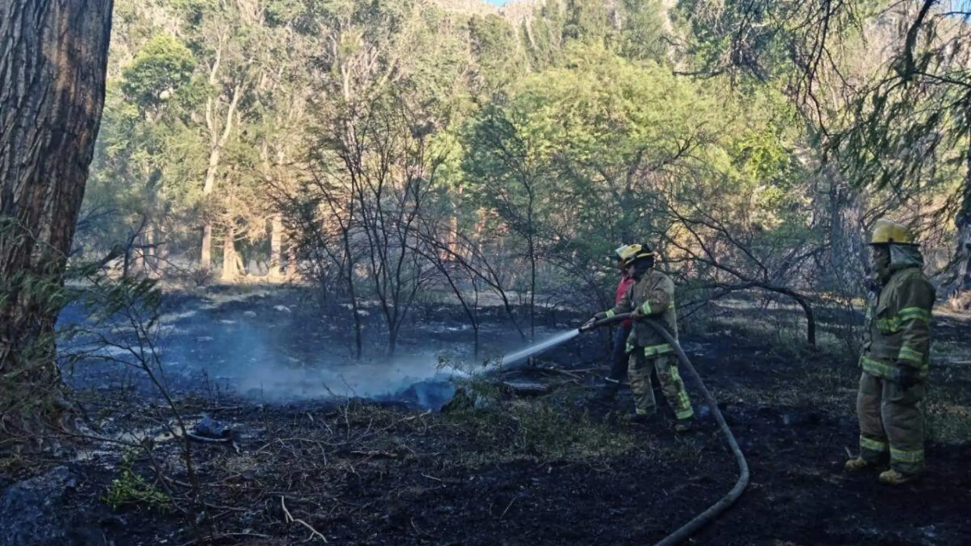 Bomberos-incendio