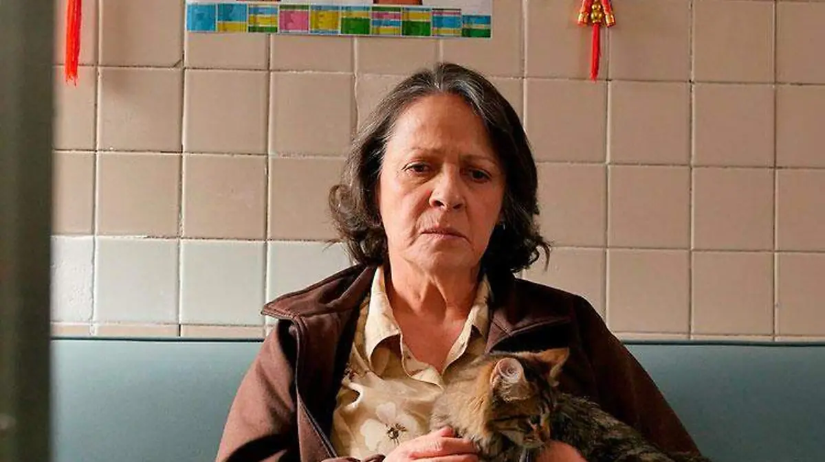 Nora-Velázquez