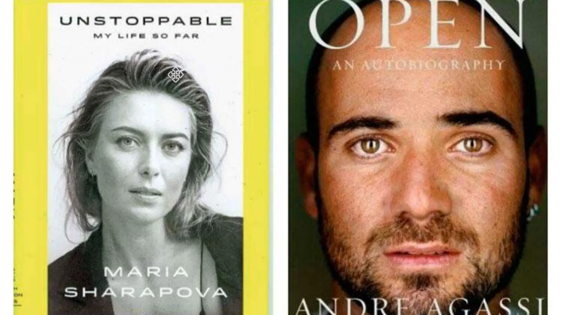 tenis-biografias-andreagassi-mariasharapova