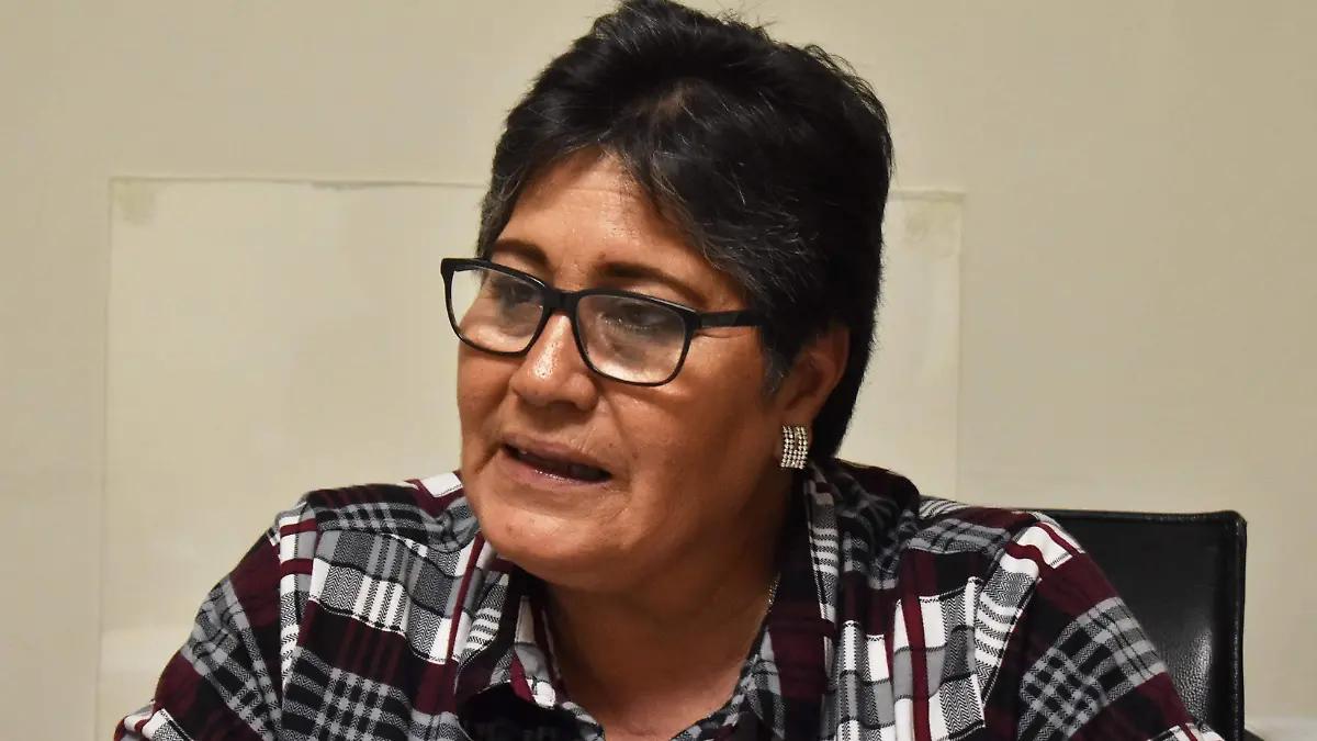 María Elena Mireles Acosta