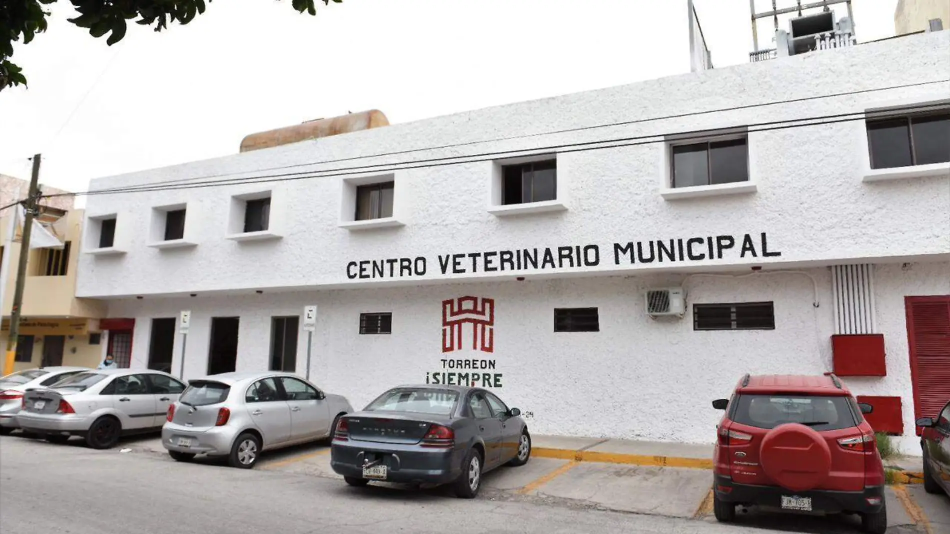 esterilizaciones