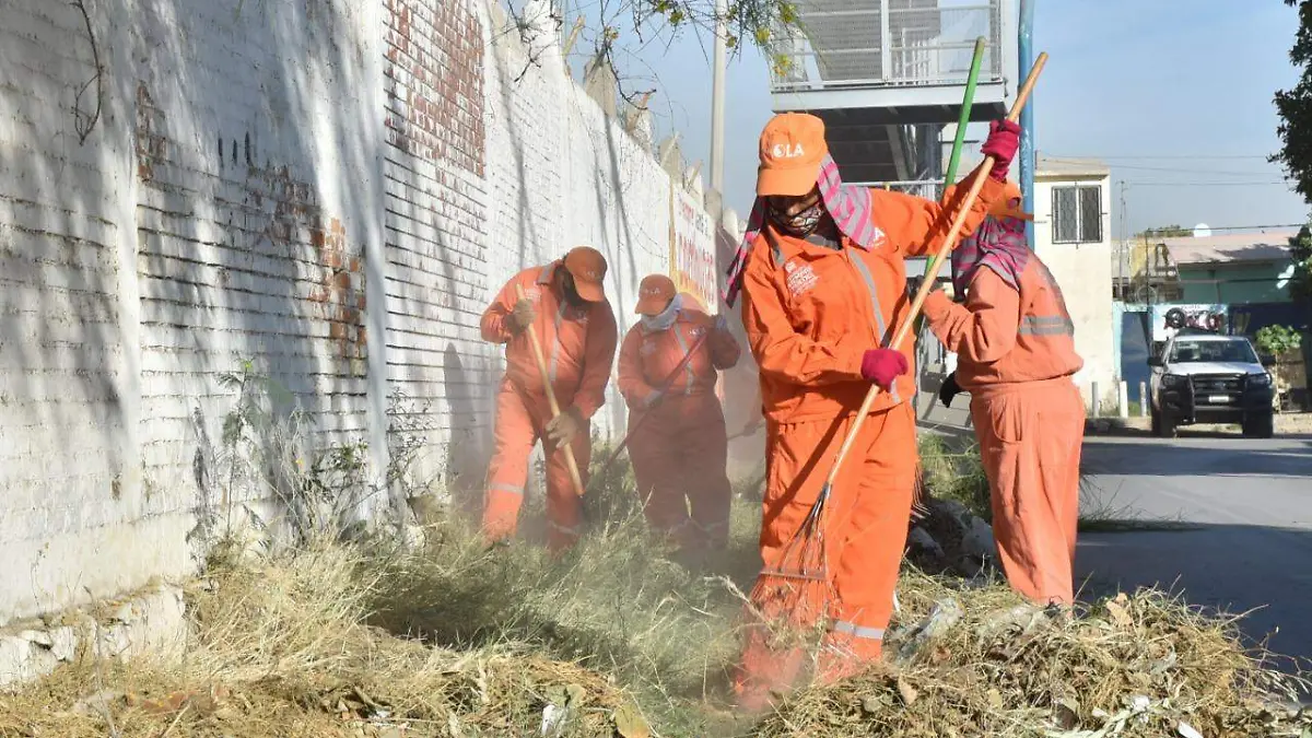 WhatsApp Image 2022-11-26 at 11.43.32