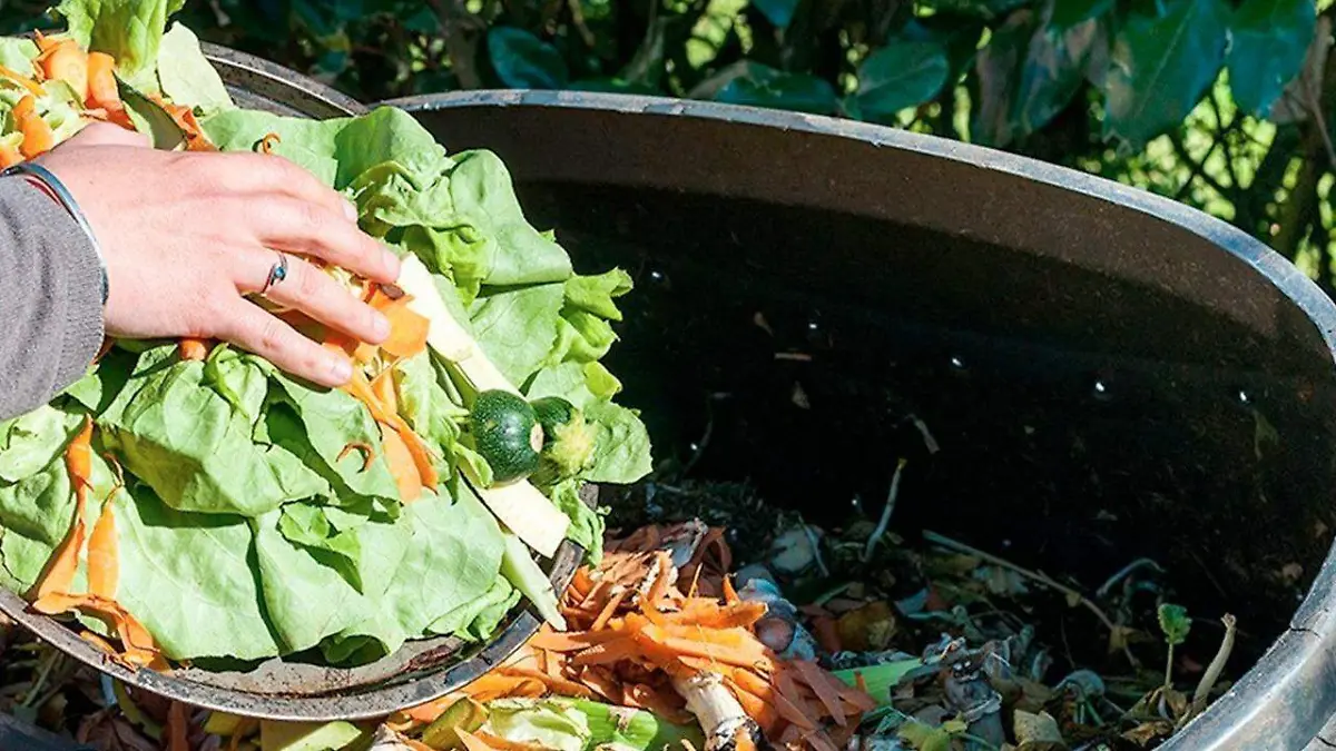29 Un tercio de todos los alimentos se desperdicia