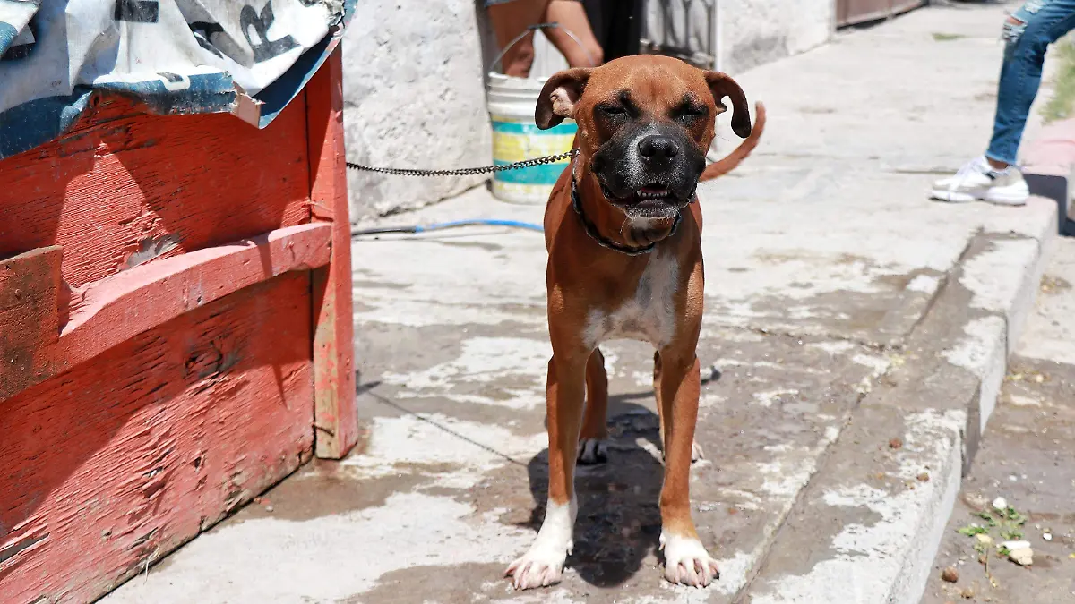 20220715100202_IMG_1120-01