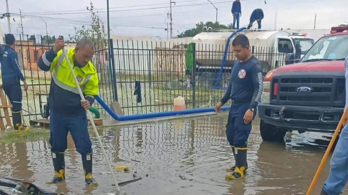 limpieza-basura