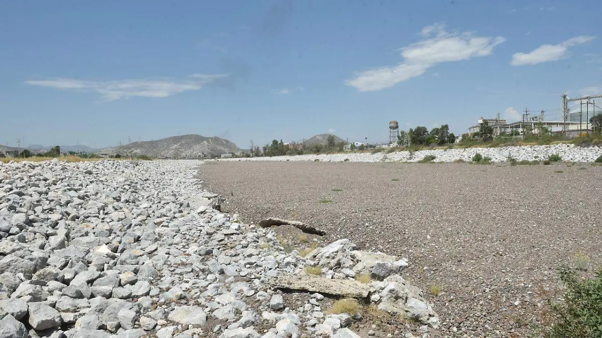 22 CREAR UN CAUDAL ECOLÓGICO SERÍA IDEAL SUSANA ESTENS 1