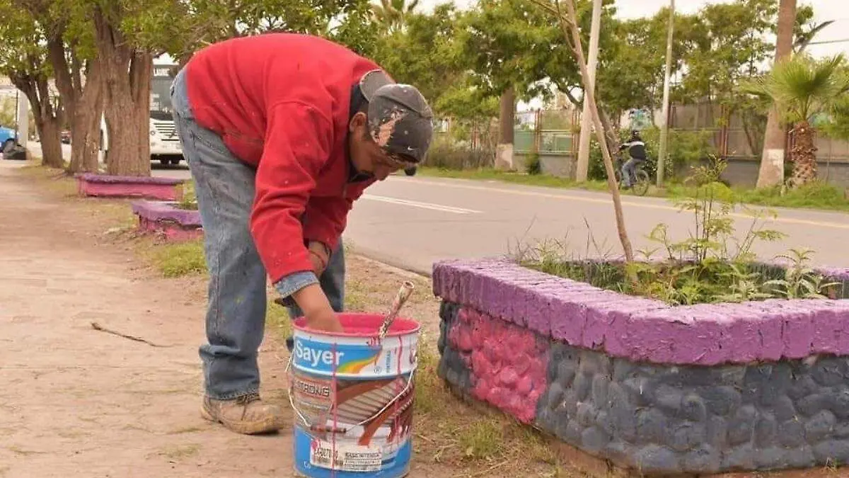 mantenimiento-vialidades