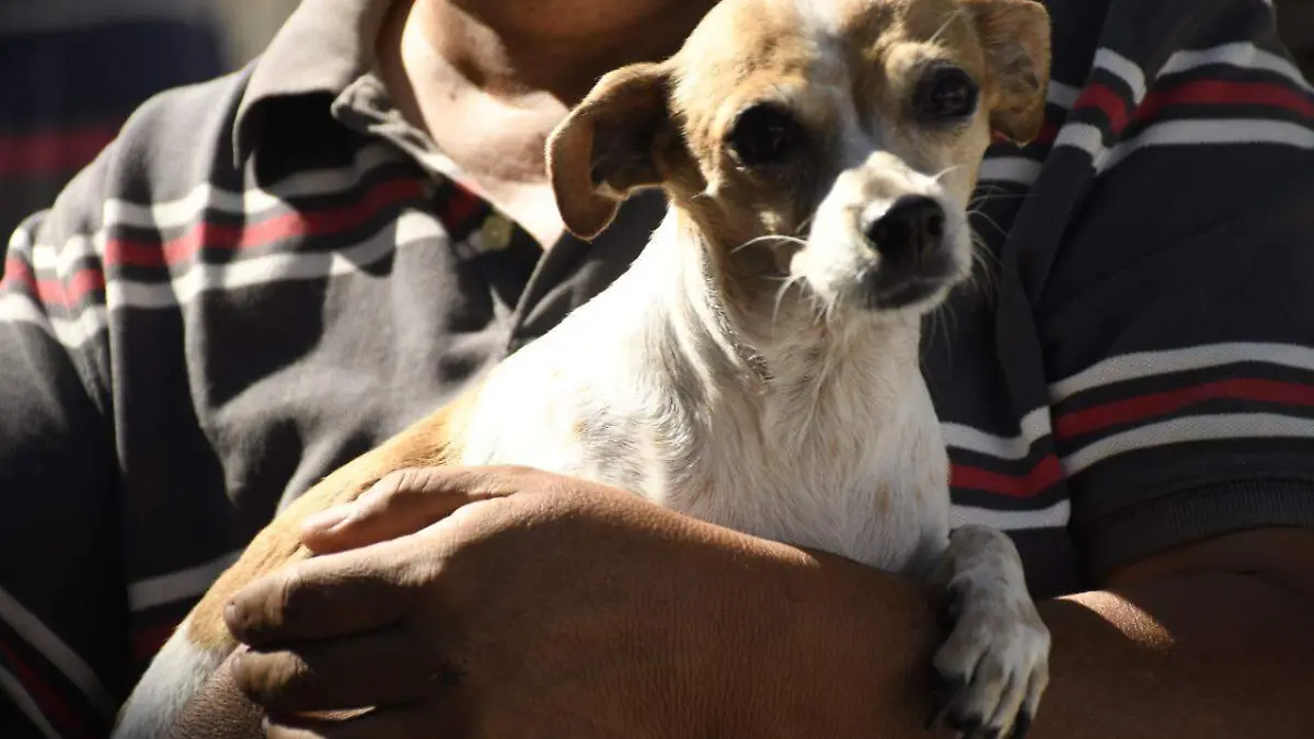 WhatsApp Image 2021-12-16 at 3.40.06 PM