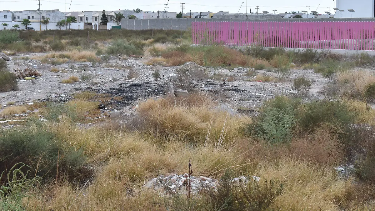 confirman terrenos para UMF IMSS