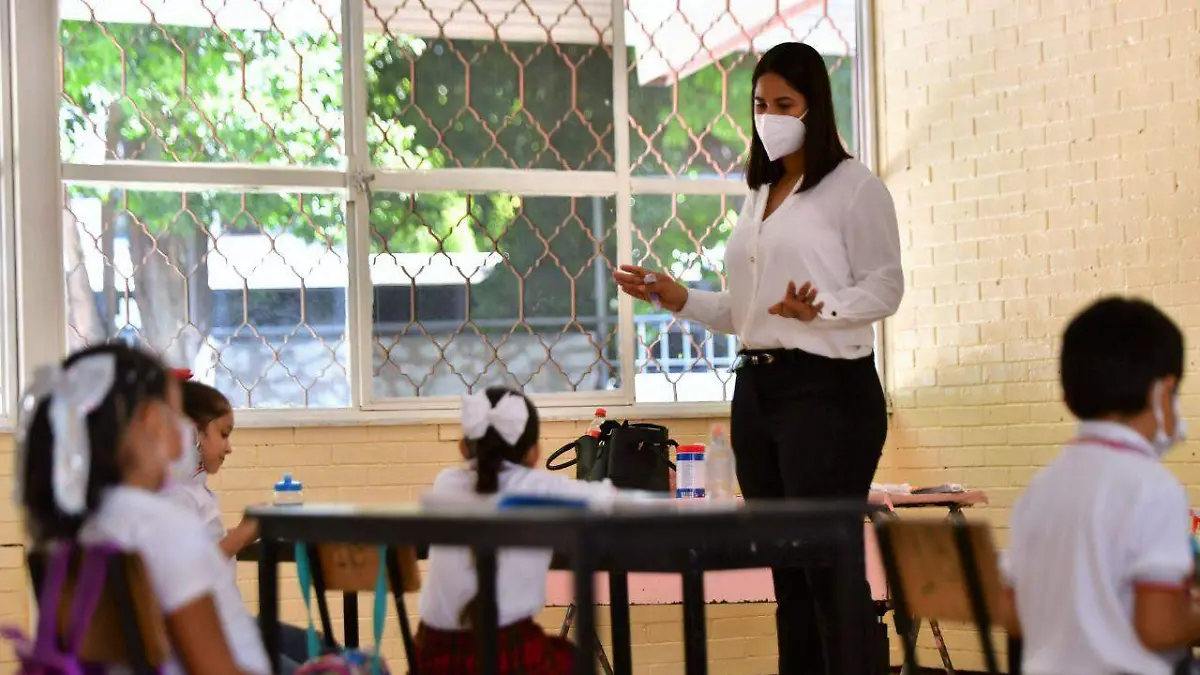 WhatsApp Image 2021-08-23 at 16.08.49