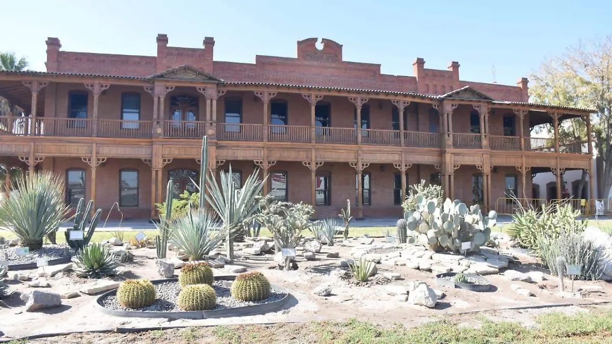 WhatsApp Image 2023-04-06 at 11.50.06