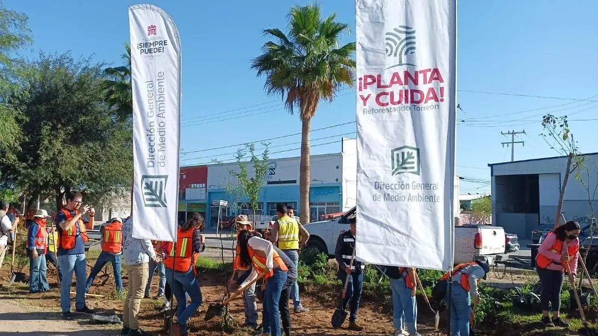 Planta y Cuida