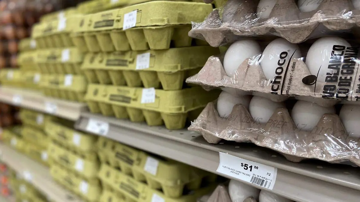 WhatsApp Image 2021-11-25 at 2.54.33 PM (2)