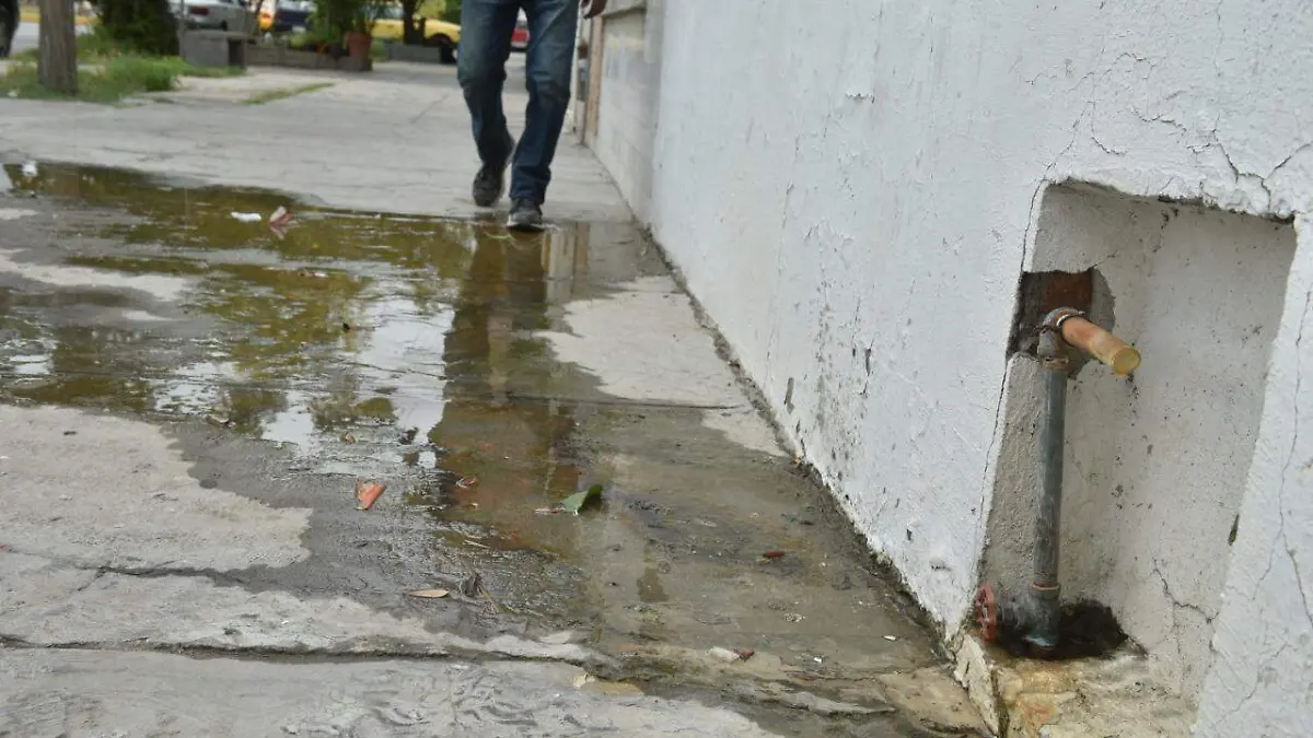 13 DENUNCIA CIUDADANA1