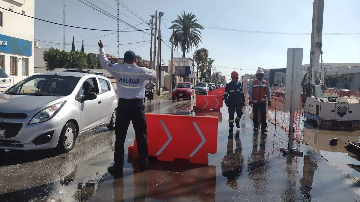 WhatsApp Image 2022-06-03 at 6.51.28 PM