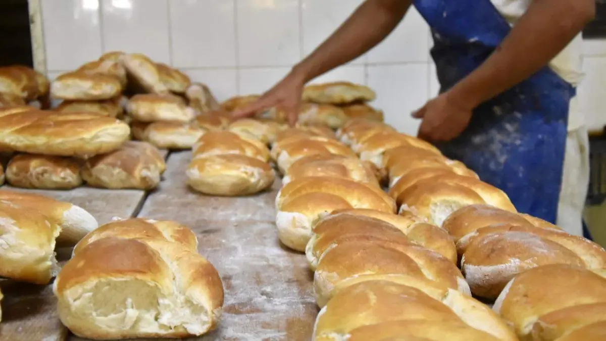 WhatsApp Image 2022-01-18 at 3.09.16 PM