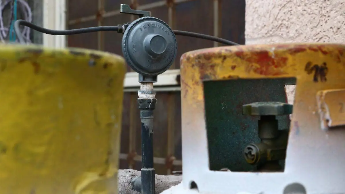 WhatsApp Image 2021-12-18 at 6.20.38 PM