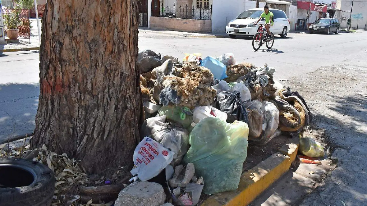 12 EN PASEO JACARANDAS nota2