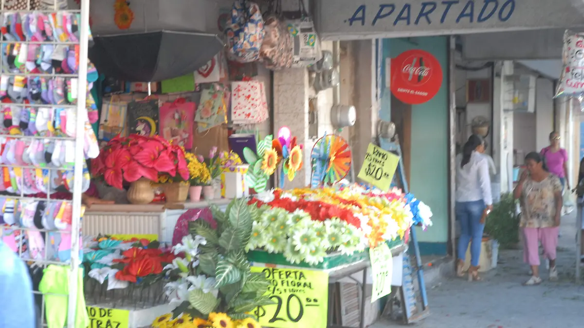 JULIO 3 fotos david andrade_03