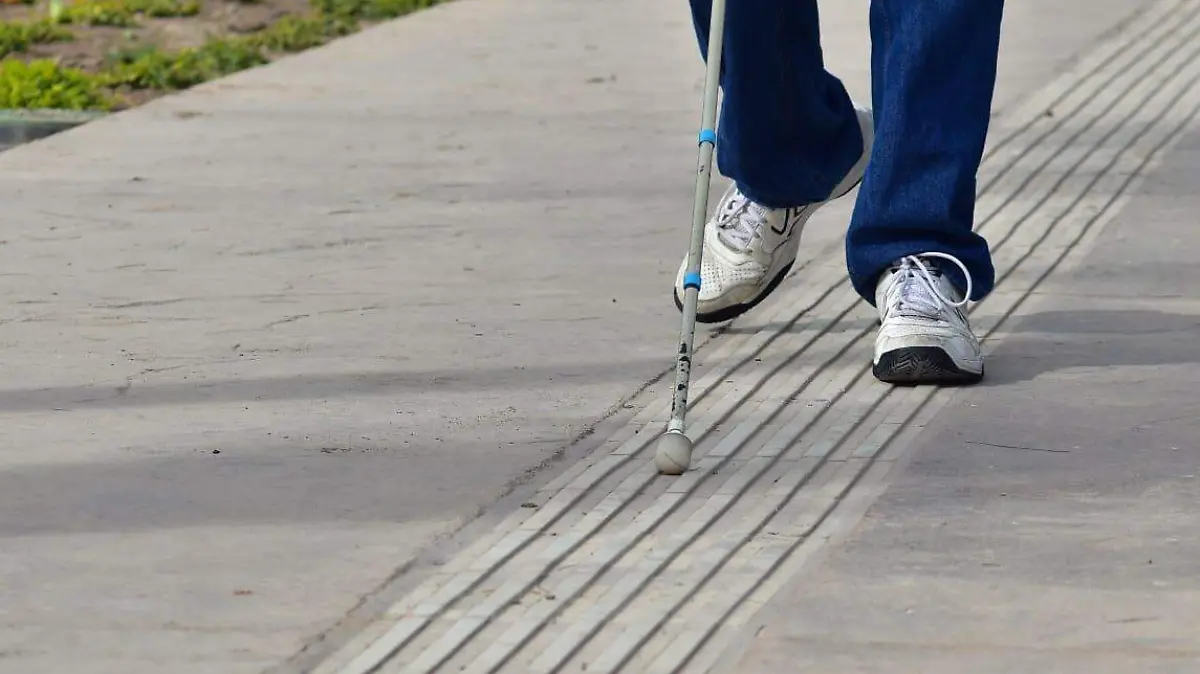 WhatsApp Image 2021-12-28 at 15.39.42