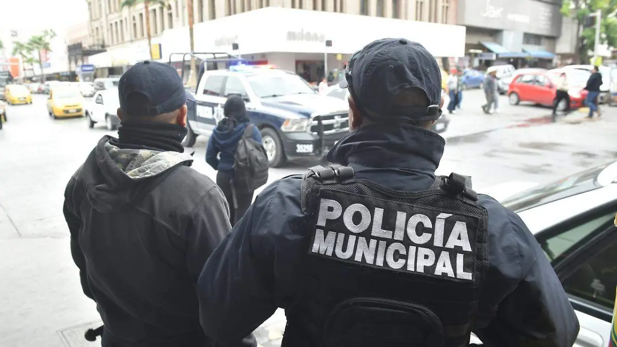 seguridad pública