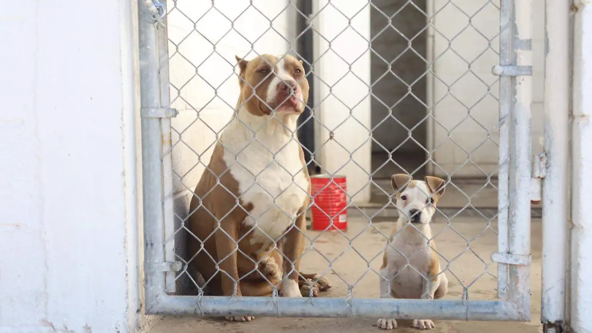 WhatsApp Image 2022-06-21 at 8.59.20 PM