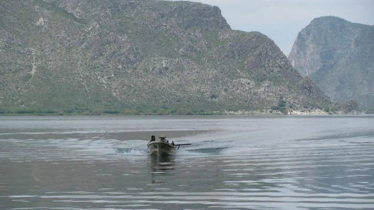 13 Presa 1