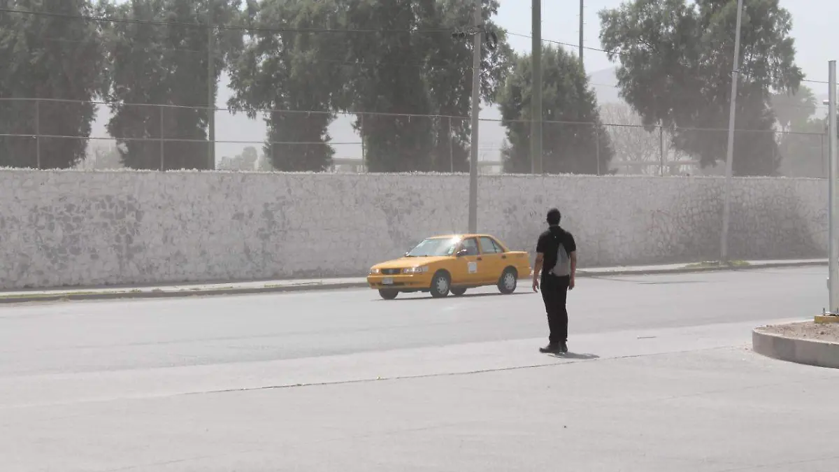 MIGUEL 4  Por factores ambientales, crece la incidencia de trastornos alérgicos