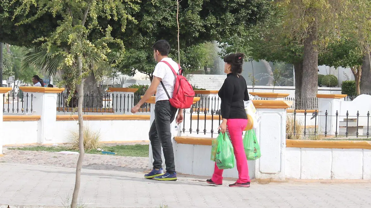 jul5-1 bolsas plástico