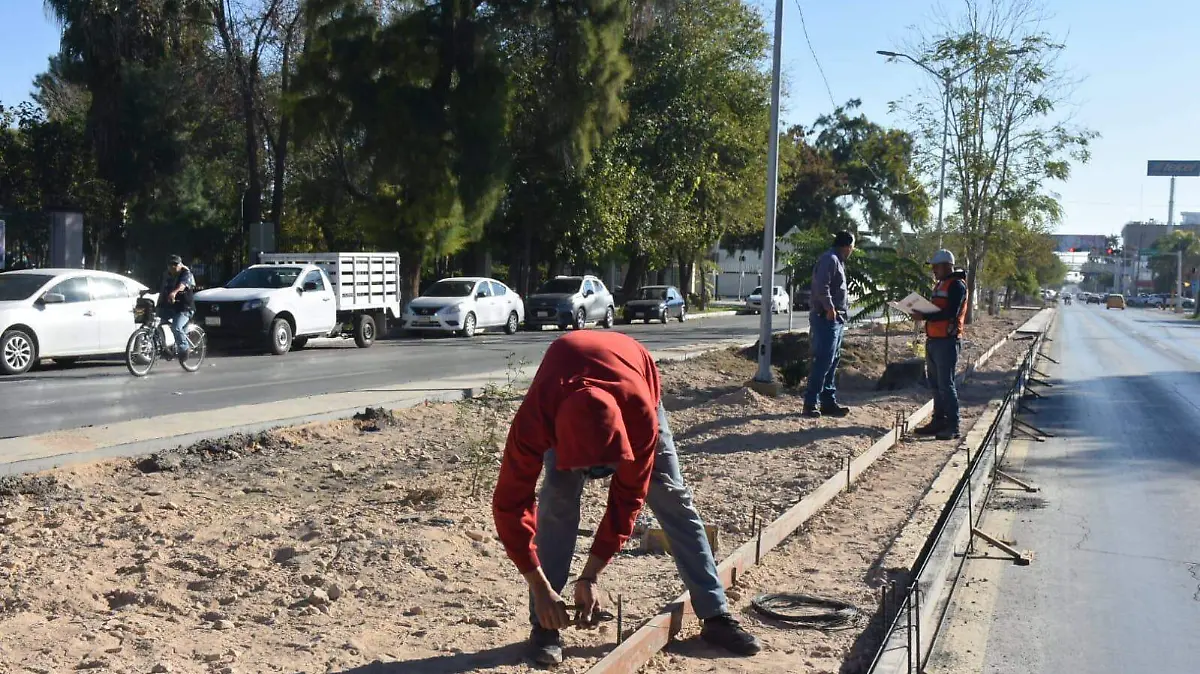 WhatsApp Image 2022-11-03 at 10.44.36 (1)