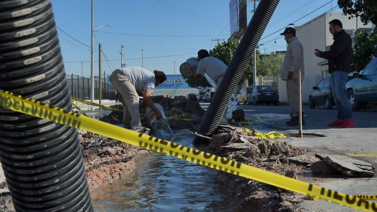 WhatsApp Image 2022-11-02 at 10.23.13