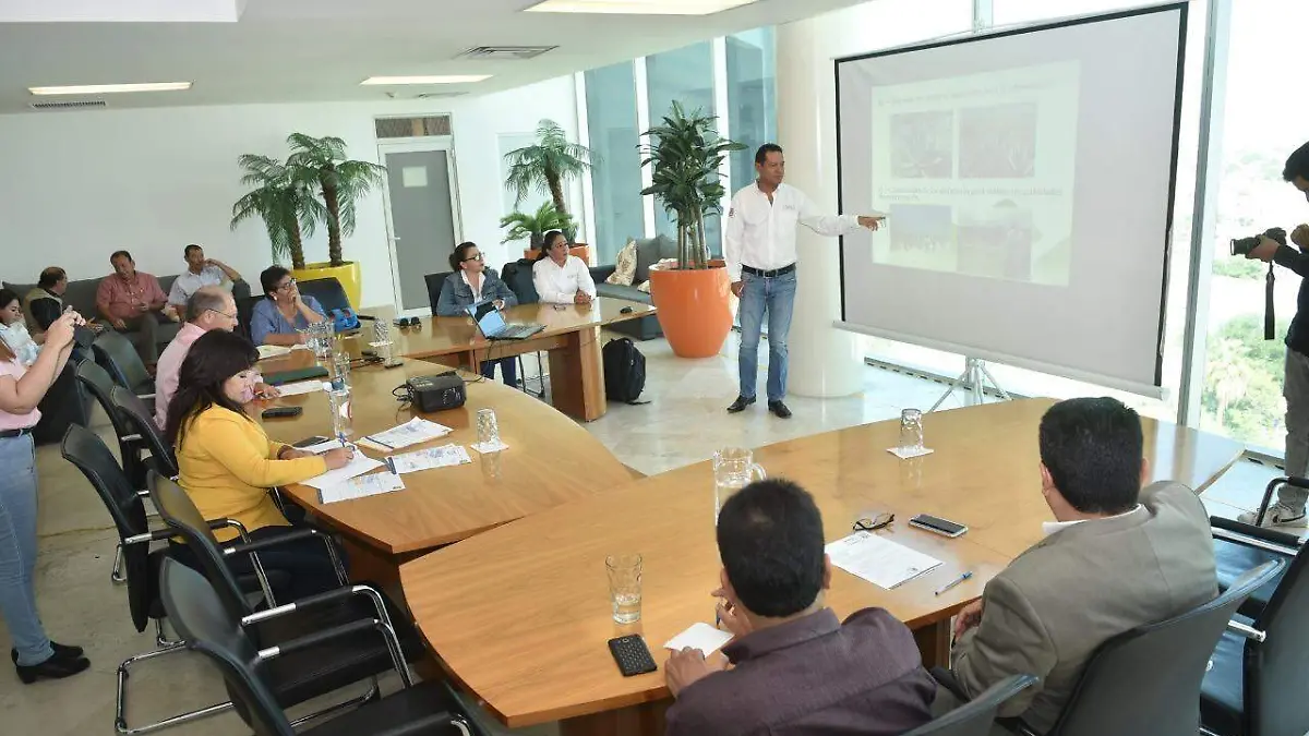 30 Fundación Jimulco impulsa la creación de un vivero3