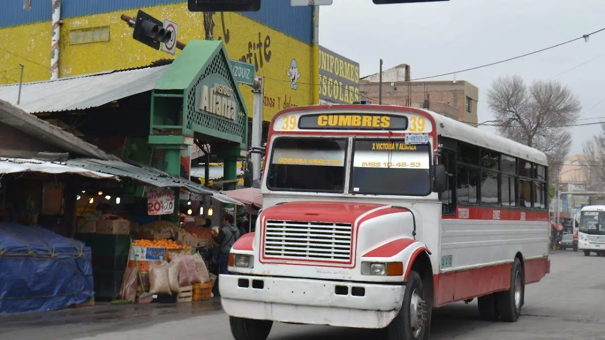 Autobuses 